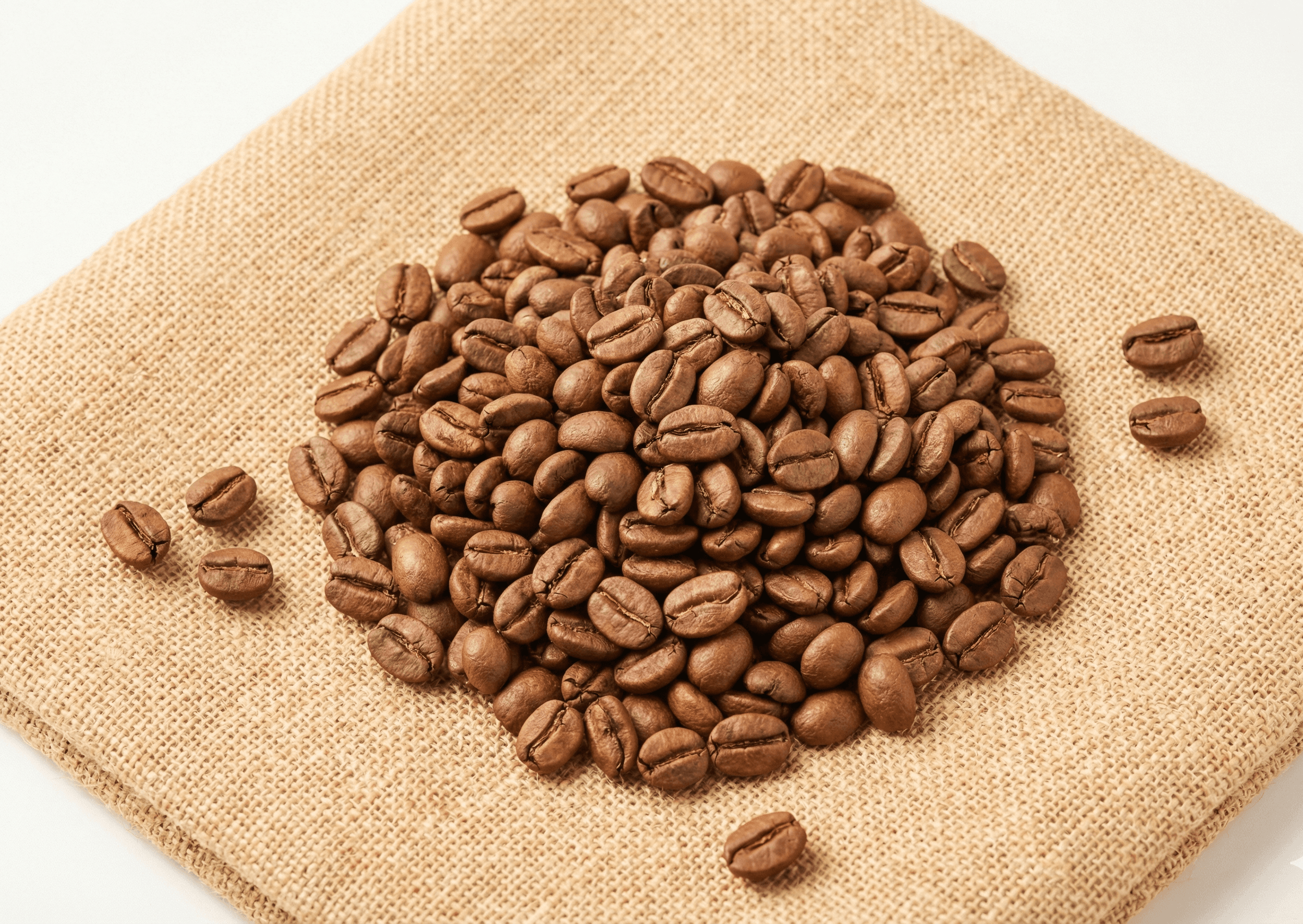 Roasted Coffee Beans - Commercial Grade - Ready to Brew | VB Exports