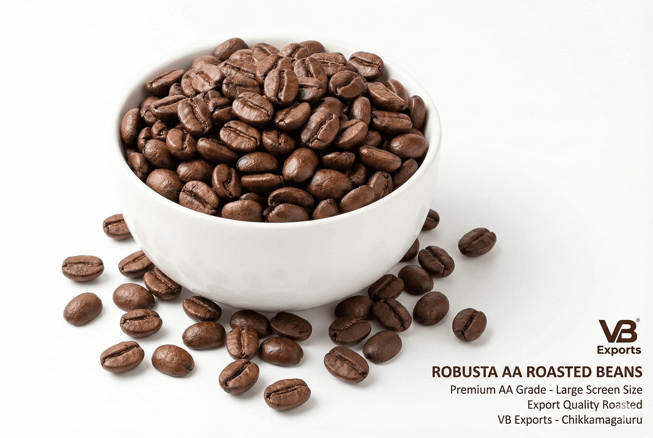 Robusta Screen 17 Green Coffee Beans - Commercial Grade - India Export | VB Exports