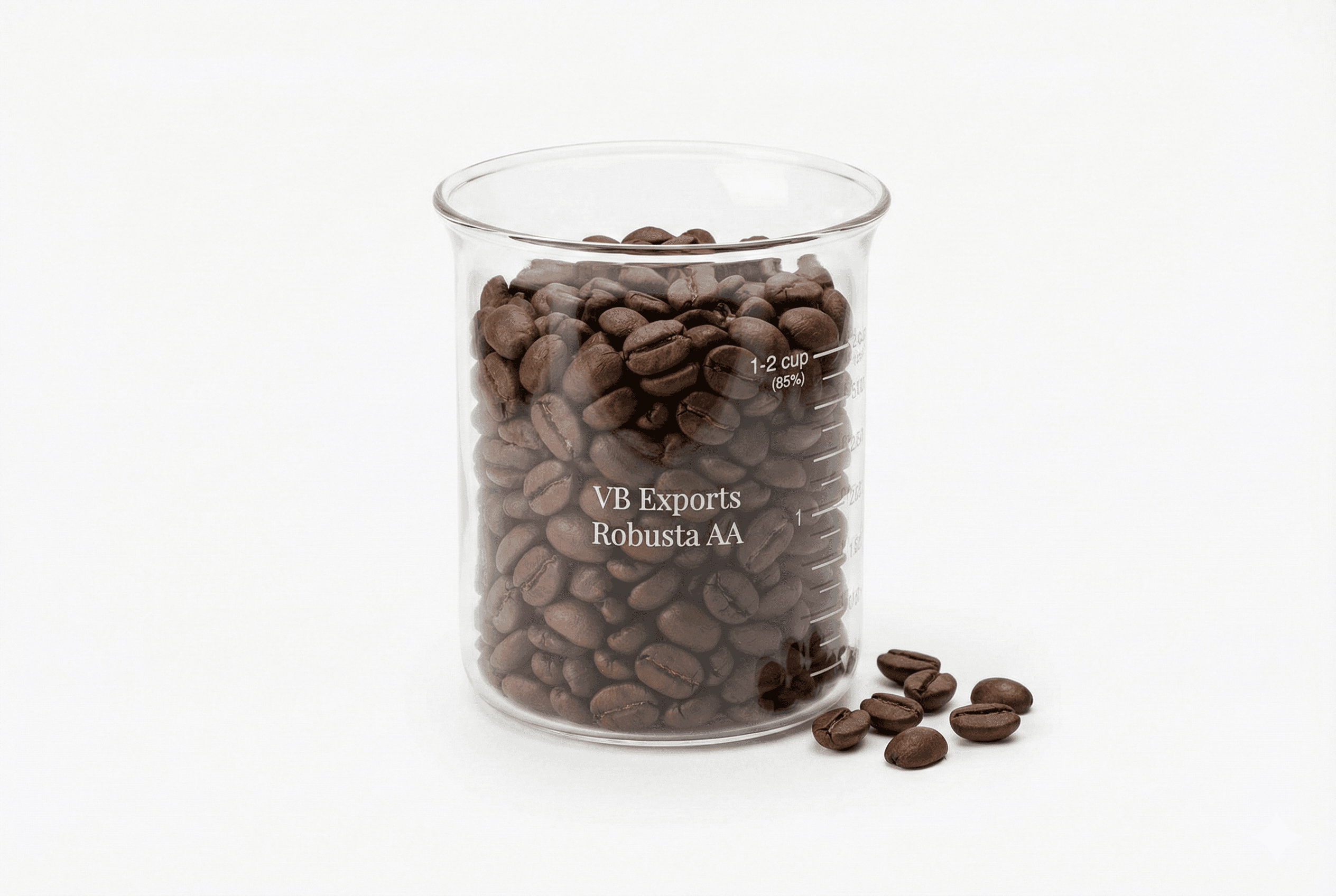 Robusta Screen 17 Green Coffee Beans - Commercial Grade - India Export | VB Exports